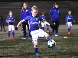 K1600_2018-01-26-DSC_5750
